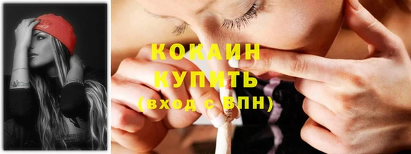 PSILOCYBIN Армянск