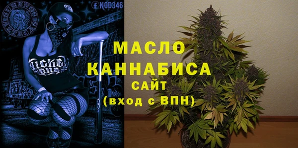 индика Арсеньев