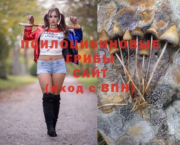 индика Арсеньев