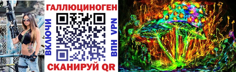 Галлюциногенные грибы Psilocybine cubensis  Волгодонск 